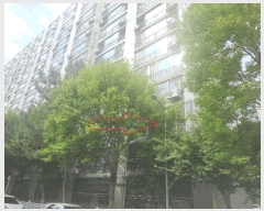  2025Ÿ��326 ���� ������ ������ 1027 �ο�2������Ʈ 206�� 3�� 301ȣ   ����Ʈ���