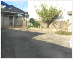  2025Ÿ��347  �������