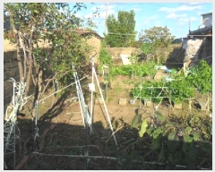  2025Ÿ��347  �������