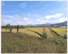  2025Ÿ��358 ���� ������ ������ 370-95       ����(��)���