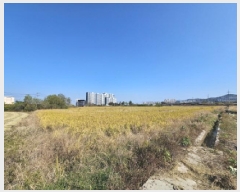  2025Ÿ��358 ���� ������ ������ 370-95       ����(��)���