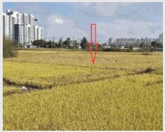  2025Ÿ��358 ���� ������ ������ 370-95       ����(��)���