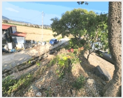  2025Ÿ��367  �����