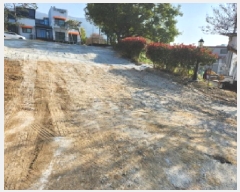  2025Ÿ��367  �����