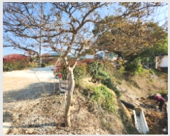  2025Ÿ��367  �����