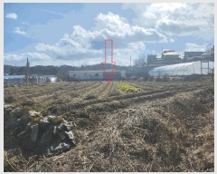  2025Ÿ30156   θ  1068      ()