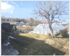  2025Ÿ30156   θ  1068      ()