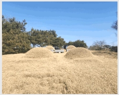  2025Ÿ30156   θ  1068      ()