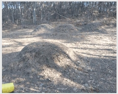  2025Ÿ��30164  �Ӿ߰��