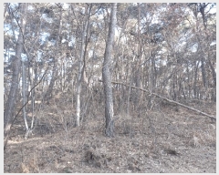  2025Ÿ��30164  �Ӿ߰��