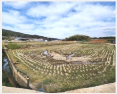  2025Ÿ30166  ξȱ ȸ Լ 322-1      ()