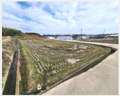  2025Ÿ30166  ξȱ ȸ Լ 322-1      ()