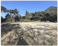  2025Ÿ��30202  �Ӿ߰��