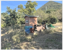  2025Ÿ��30202  �Ӿ߰��