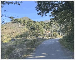  2025Ÿ��30202  �Ӿ߰��