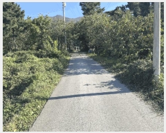  2025Ÿ��30202  �Ӿ߰��