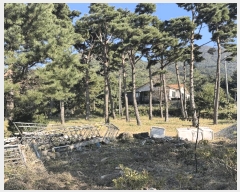  2025Ÿ��30202  �Ӿ߰��