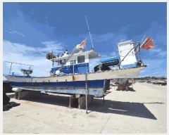  2025Ÿ30210  ξȱ  . .      ڰ