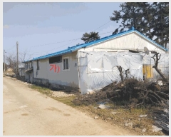  2025Ÿ��30221 ���� �ξȱ� ���� ��踮 502-1      ���ð��