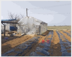  2025Ÿ��30221 ���� �ξȱ� ���� ��踮 502-1      ���ð��