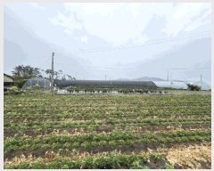  2025Ÿ��30283 ���� ��â�� ���ϸ� ������ 1627      ����(��)���