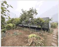  2025Ÿ��30283 ���� ��â�� ���ϸ� ������ 1627      ����(��)���