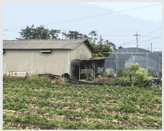  2025Ÿ��30283 ���� ��â�� ���ϸ� ������ 1627      ����(��)���