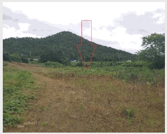  2025Ÿ��30298  �����