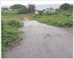  2025Ÿ��30298  �����