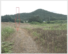  2025Ÿ��30298  �����