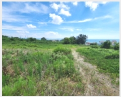  2025Ÿ��30298  �����