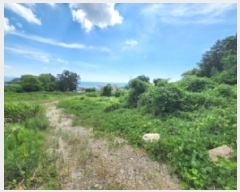  2025Ÿ��30298  �����