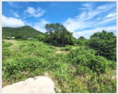  2025Ÿ��30299 ���� �ξȱ� ����� ������ 657-2      ����(�Ӿ�)���