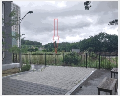  2025Ÿ��30313  ����