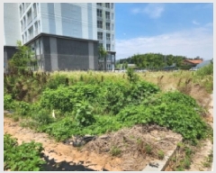  2025Ÿ��30313  ����