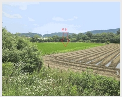  2025Ÿ��30317  ����