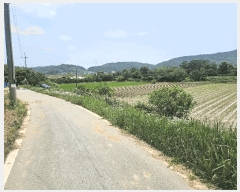  2025Ÿ��30317  ����