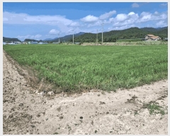  2025Ÿ��30325  ����