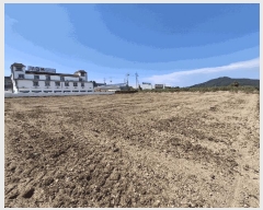  2025Ÿ��30325  ����