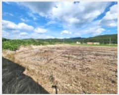  2025Ÿ��30325  ����