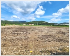  2025Ÿ��30325  ����