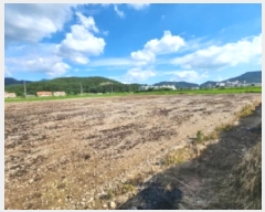  2025Ÿ��30325  ����