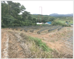  2025Ÿ��30330  ����