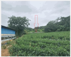  2025Ÿ��30330  ����