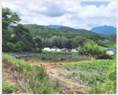  2025Ÿ��30330  ����