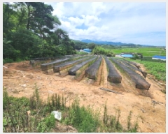  2025Ÿ��30330  ����