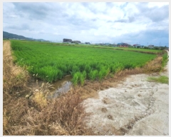  2025Ÿ��30330  ����