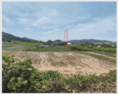  2025Ÿ��30332  �����