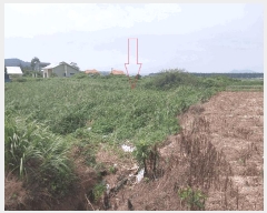  2025Ÿ��30332  �����