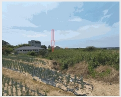  2025Ÿ��30332  �����